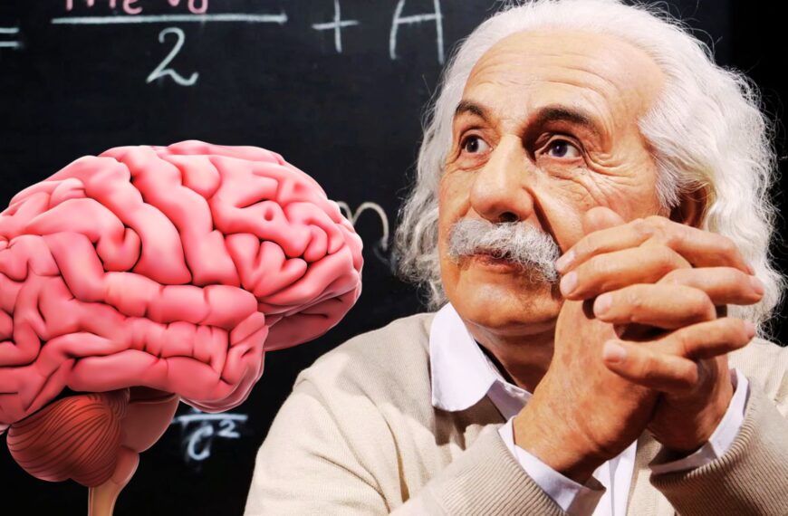 Pourquoi le cerveau d’Albert Einstein…