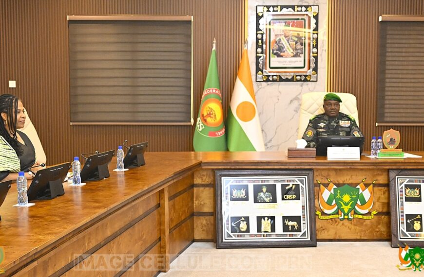 Nathalie Yamb en audience avec le président nigérien Abdourahamane Tiani.