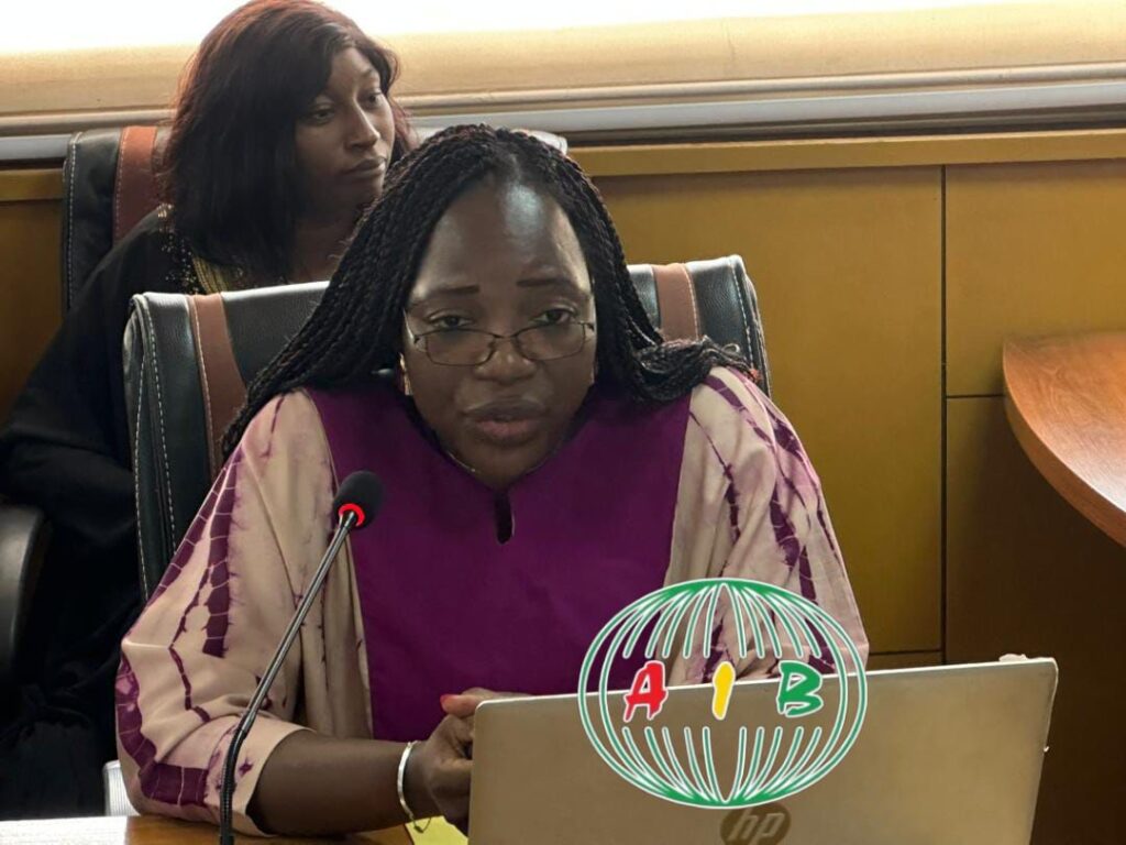 Représentation de la diaspora burkinabè contribuant à l’économie nationale par les transferts financiers.