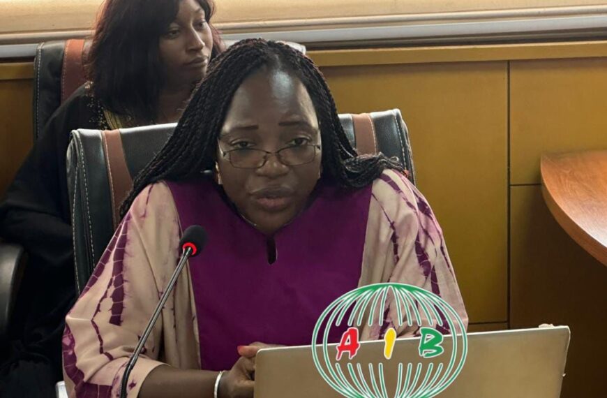 Représentation de la diaspora burkinabè contribuant à l’économie nationale par les transferts financiers.